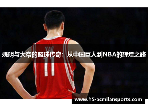 姚明与大帝的篮球传奇：从中国巨人到NBA的辉煌之路